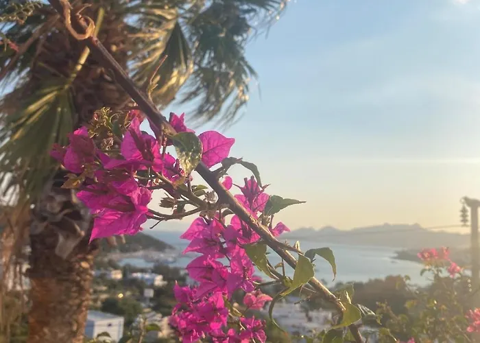 Vila With Panoramic Sea View In Bitez *