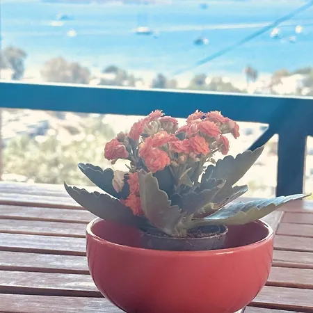 Vilă With Panoramic Sea View In Bitez Bodrum