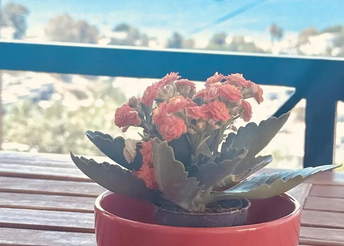 Vila With Panoramic Sea View In Bitez Bodrum