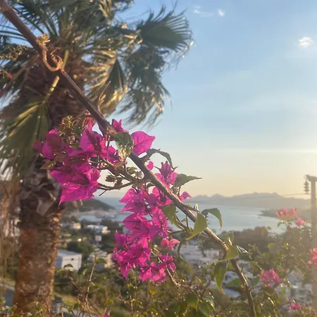 Villa With Panoramic Sea View In Bitez *